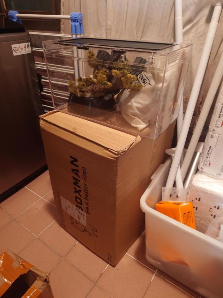 搬家案件圖片