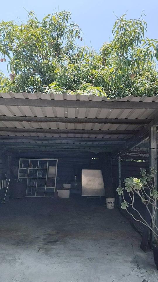 園藝維護案件圖片