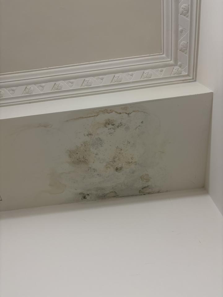壁癌處理案件圖片