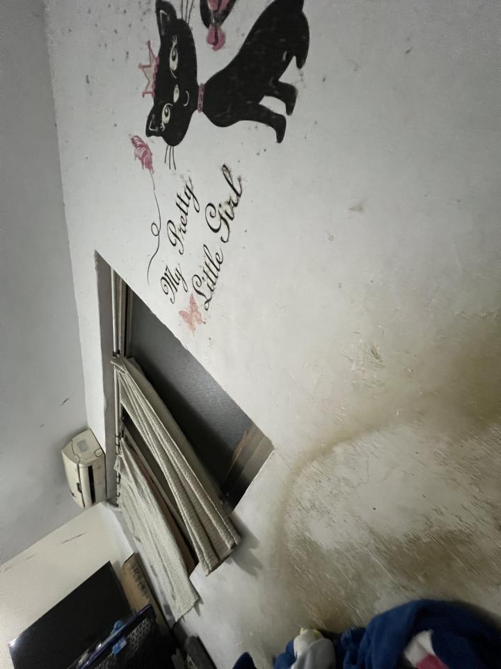 油漆工程案件圖片