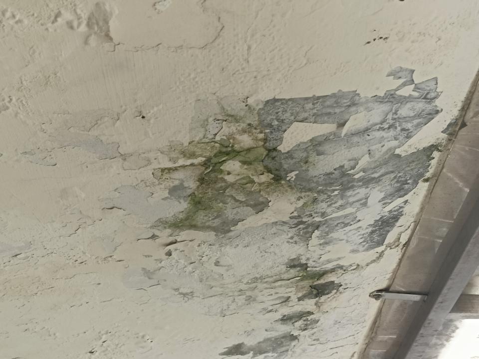 屋頂防水案件圖片