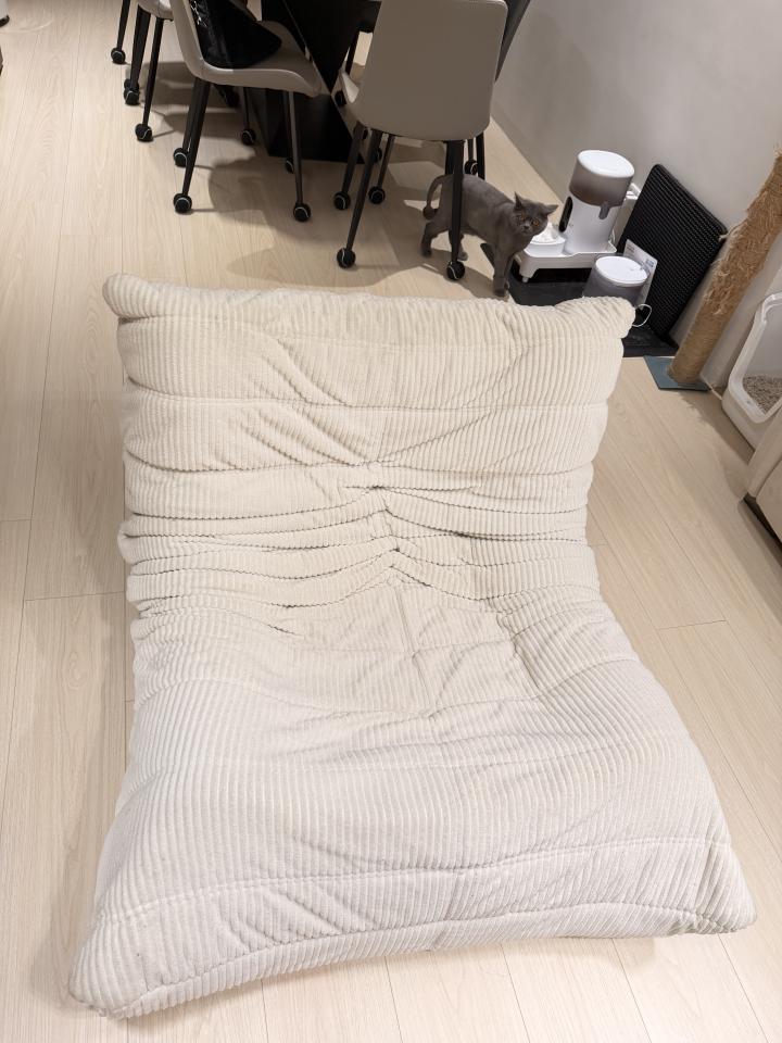 沙發清潔案件圖片