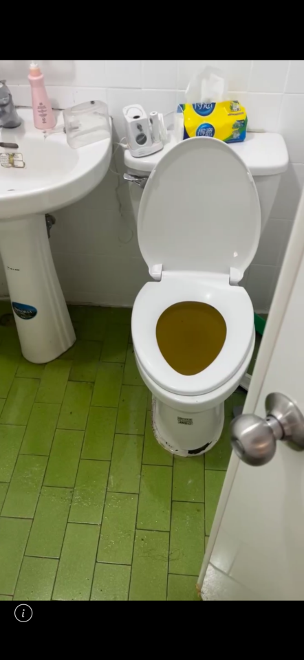 通馬桶案件圖片