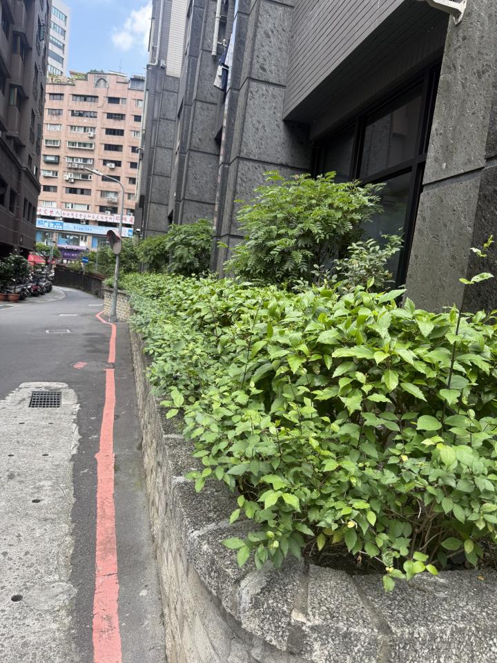 園藝維護案件圖片
