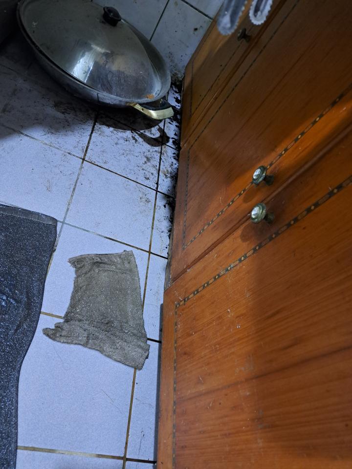 抓漏案件圖片