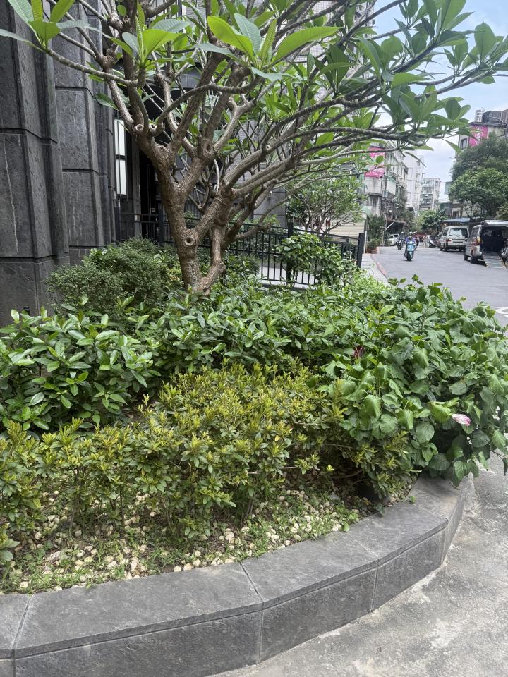 園藝維護案件圖片
