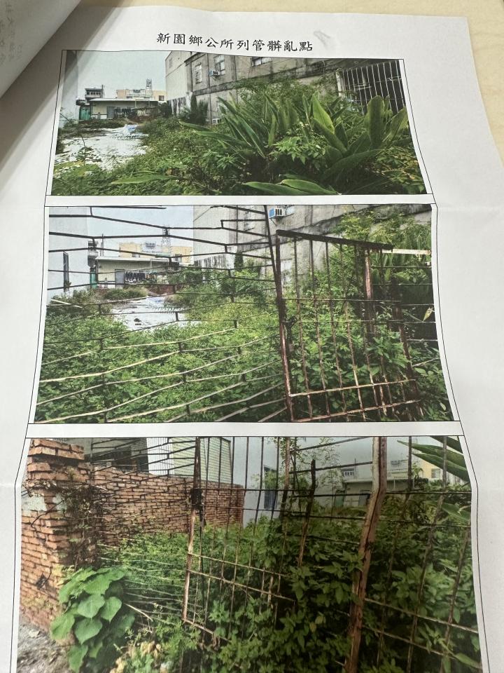 園藝維護案件圖片