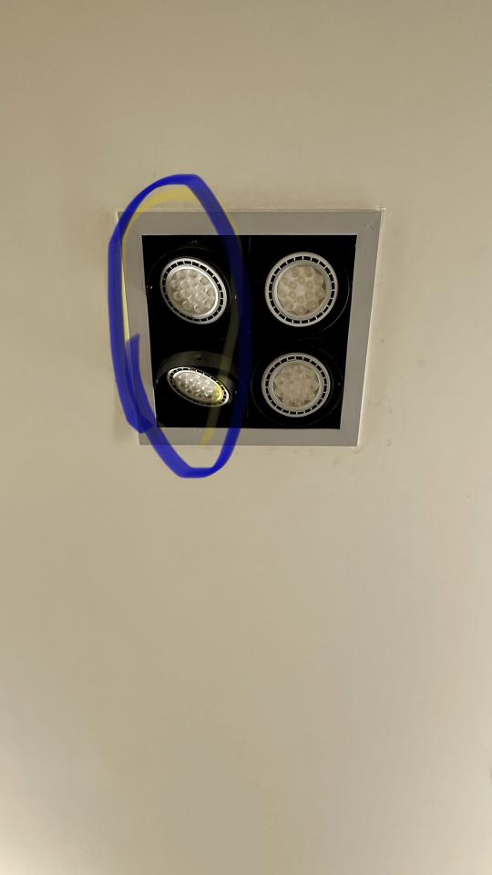 燈具安裝案件圖片