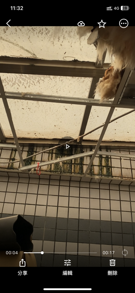 採光罩案件圖片