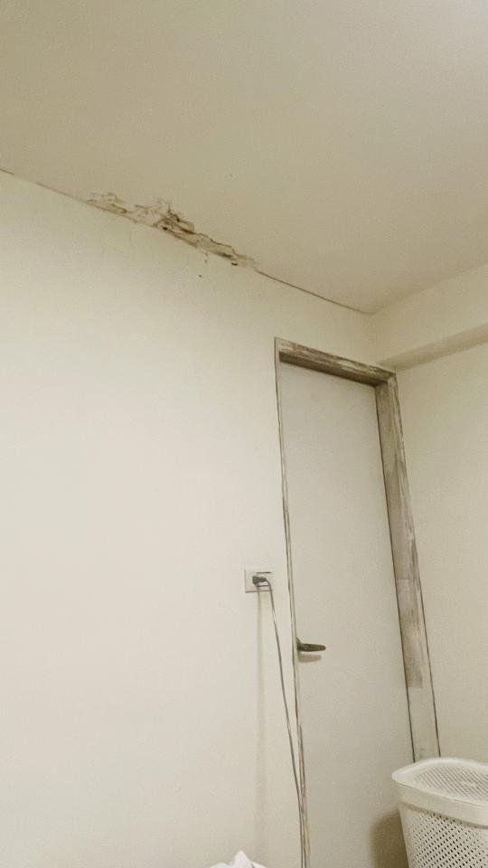 油漆工程案件圖片