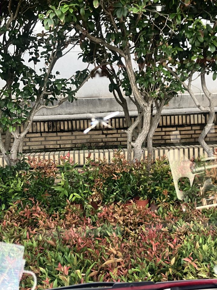 汽車玻璃修補案件圖片