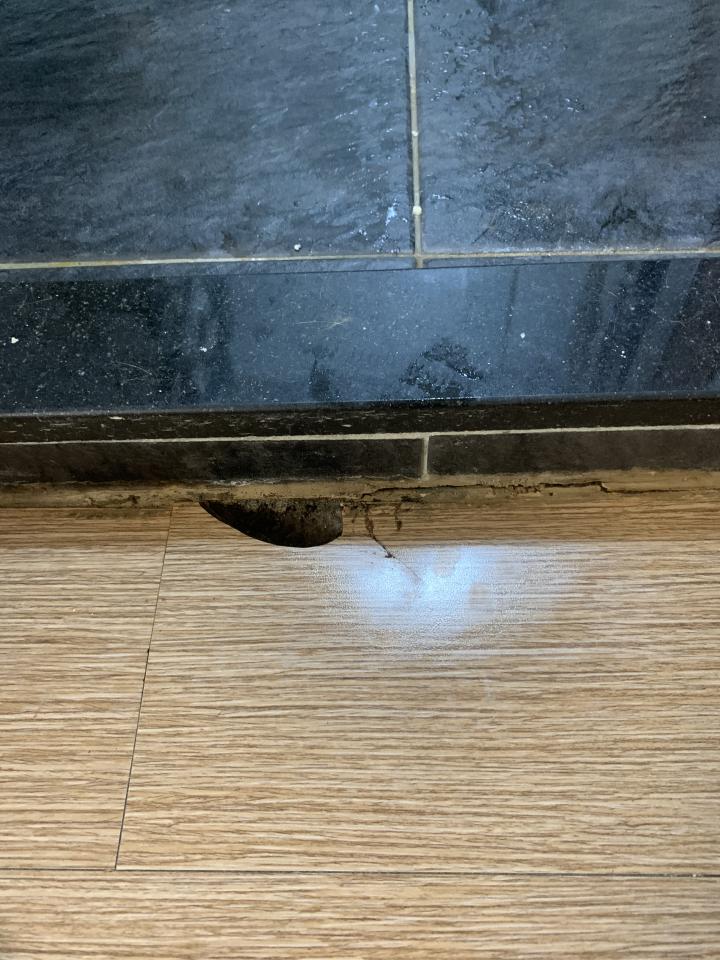 地板維修案件圖片