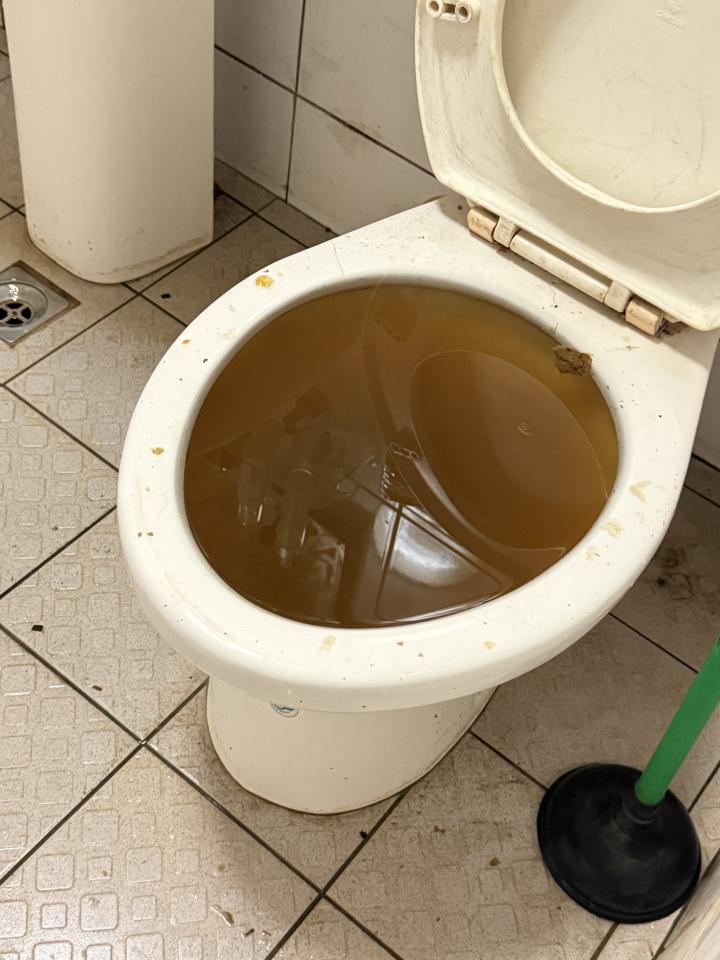 通馬桶案件圖片