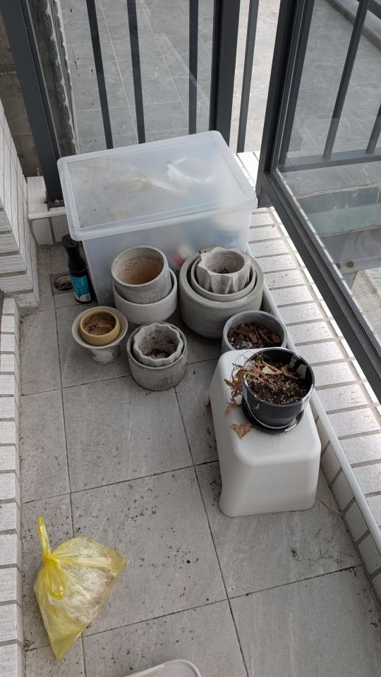 大型垃圾回收案件圖片