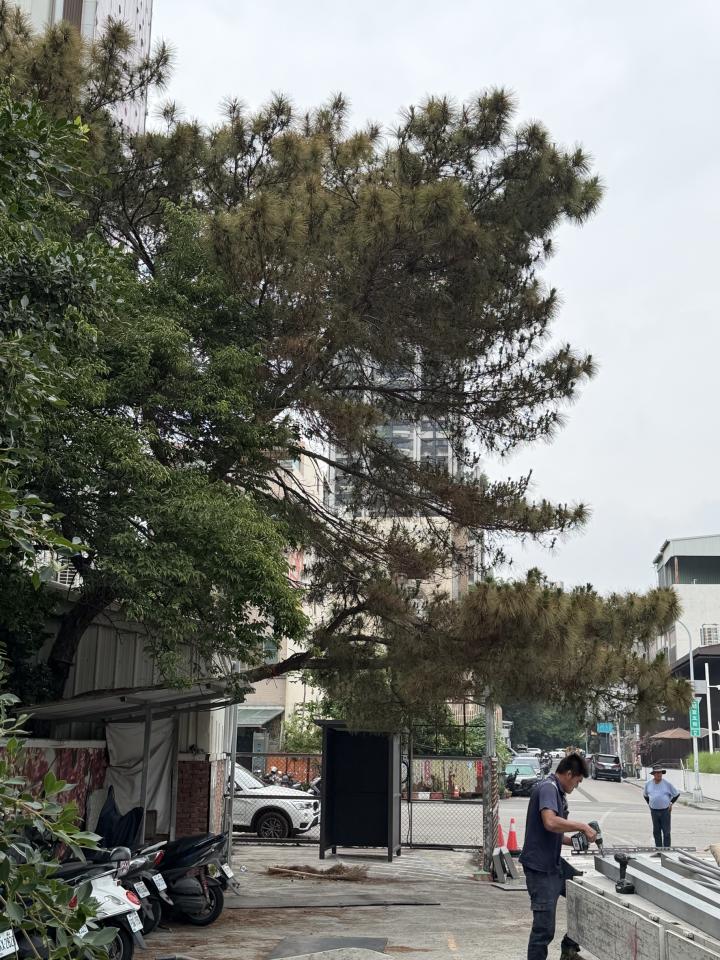 園藝維護案件圖片