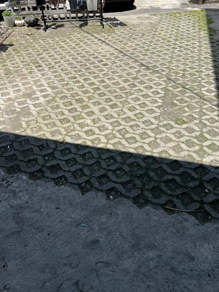 地板施工案件圖片