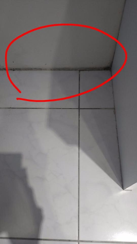 漏水處理案件圖片