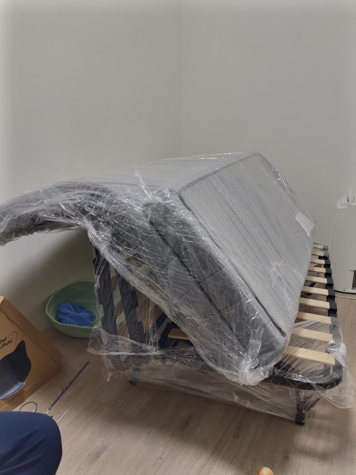 家具搬運案件圖片