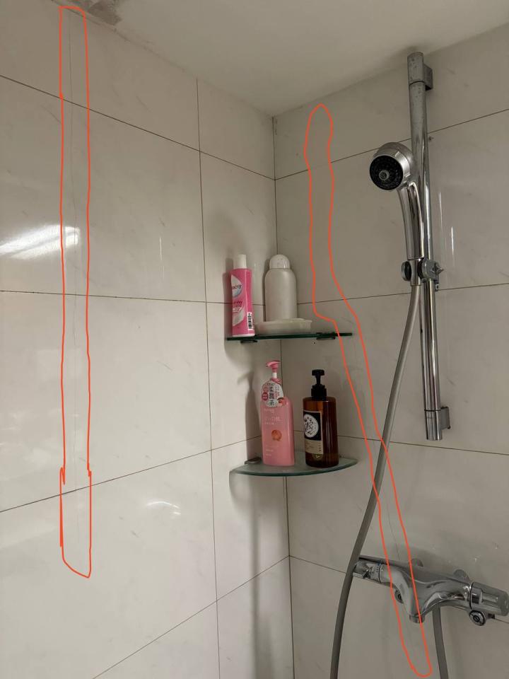 抓漏案件圖片