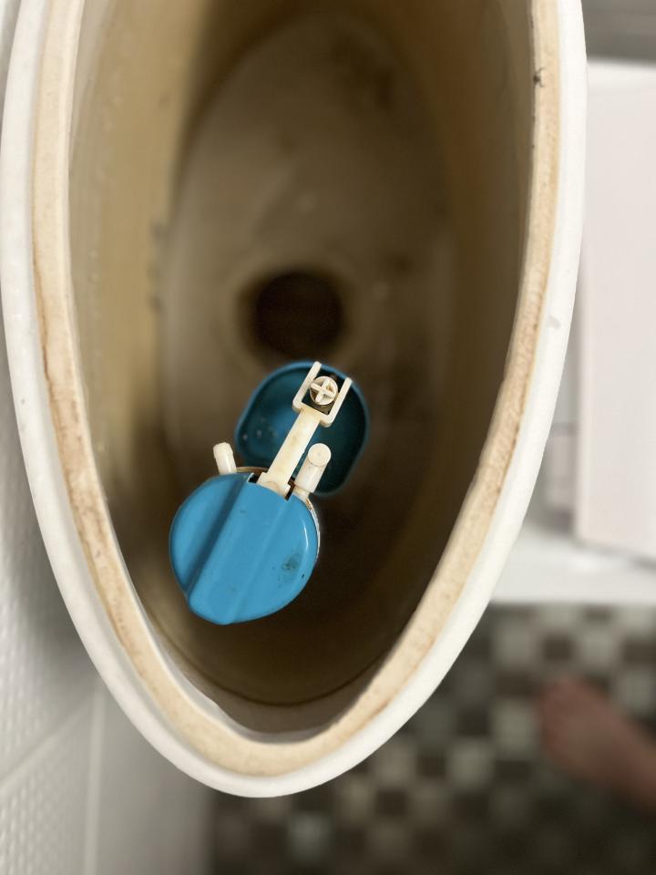 馬桶裝修案件圖片