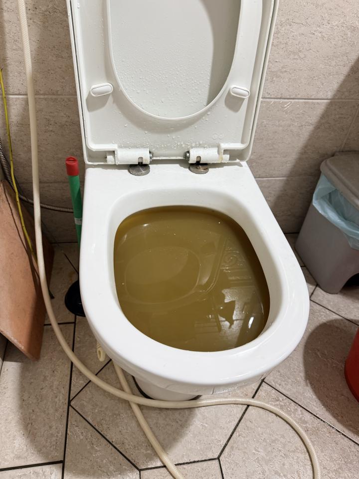 馬桶裝修案件圖片