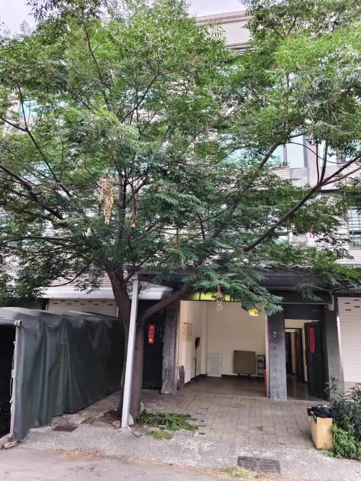 園藝維護案件圖片