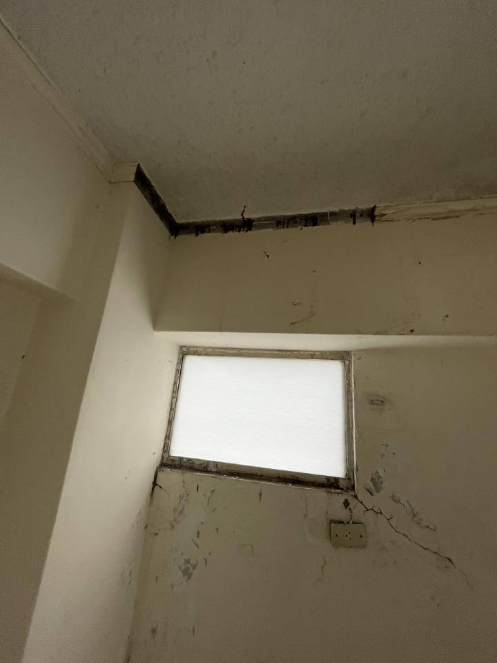 油漆工程案件圖片