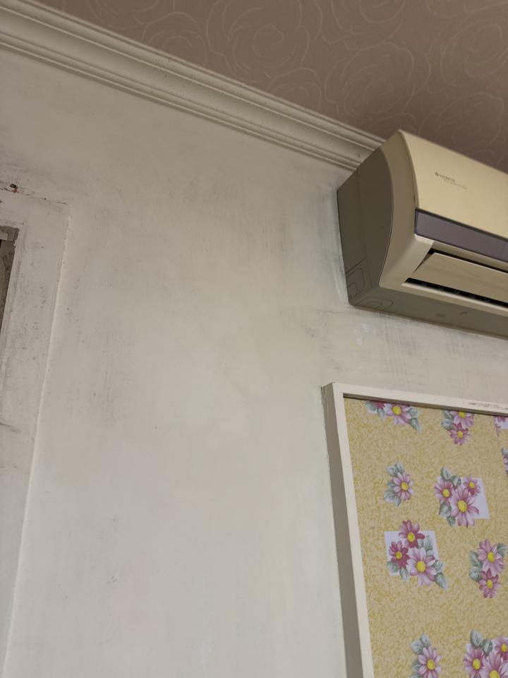 除霉案件圖片
