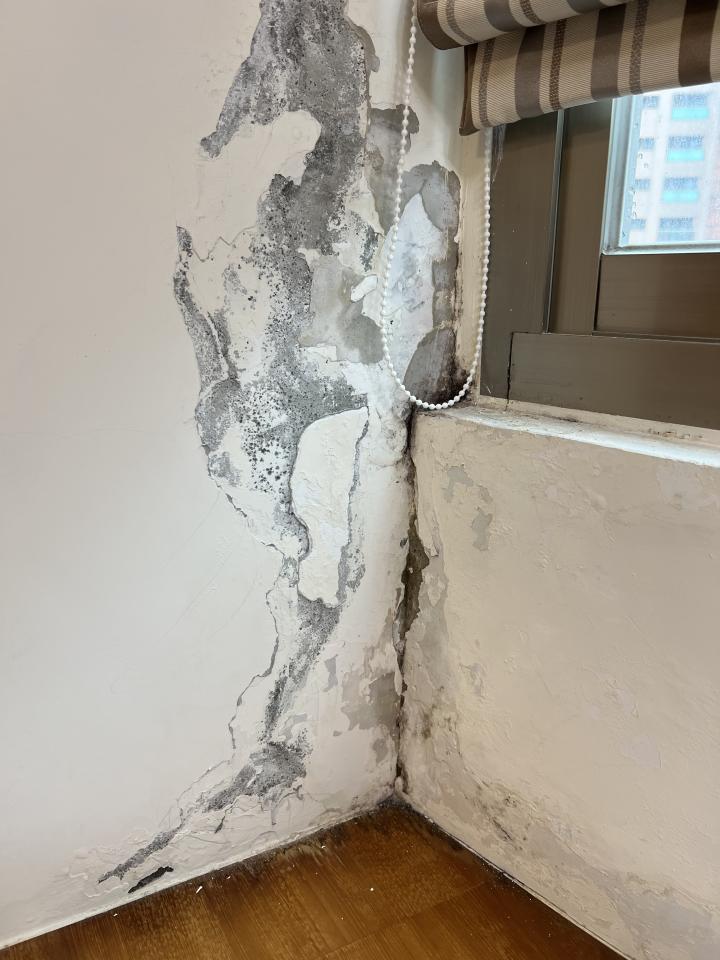 抓漏案件圖片