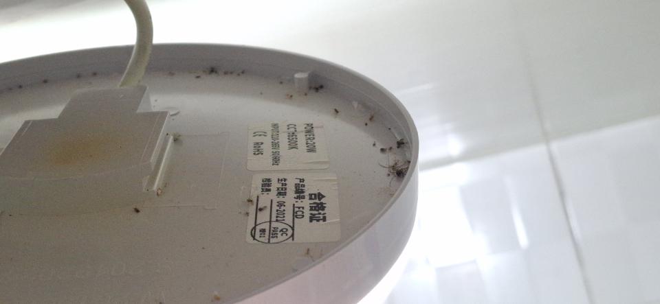 燈具維修案件圖片