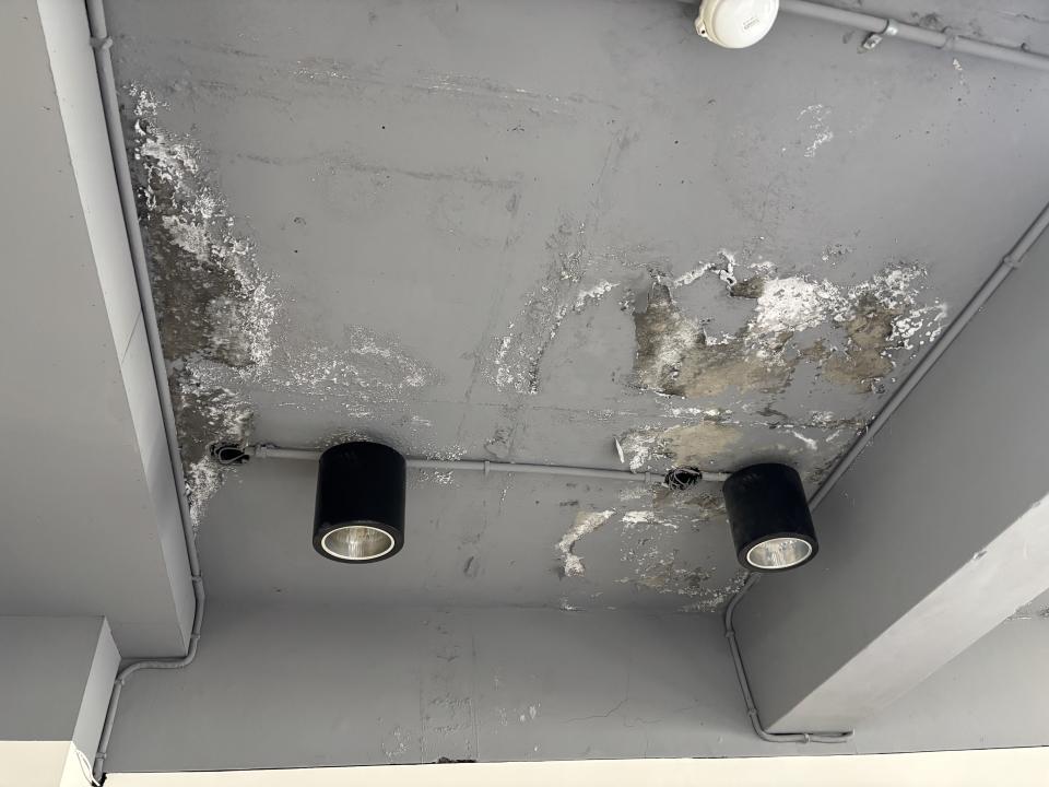 油漆工程案件圖片