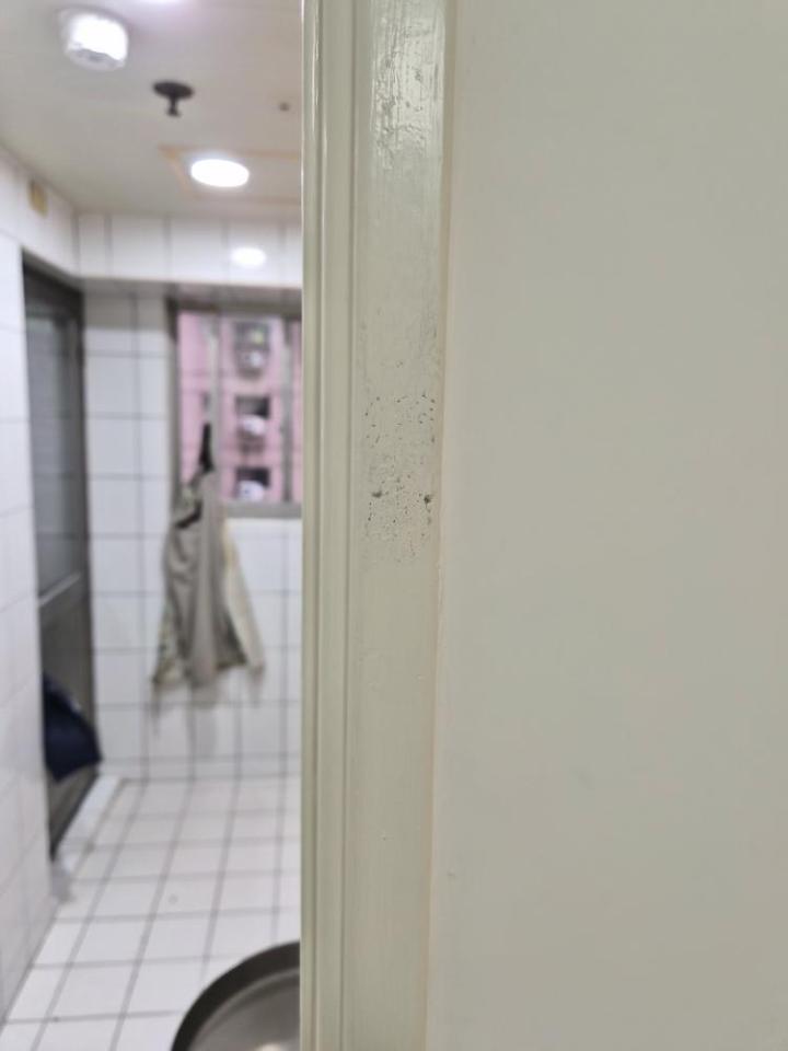 油漆工程案件圖片