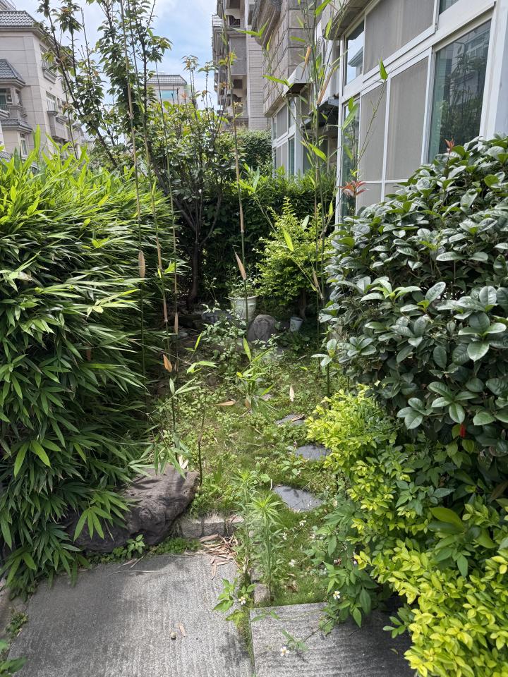 園藝維護案件圖片