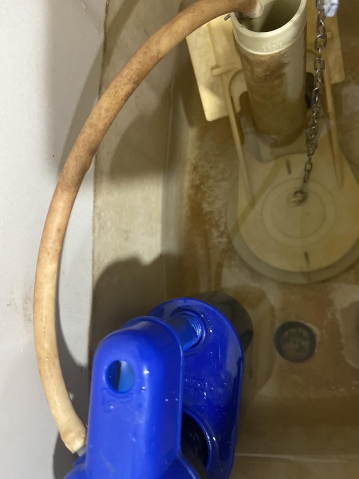 馬桶裝修案件圖片