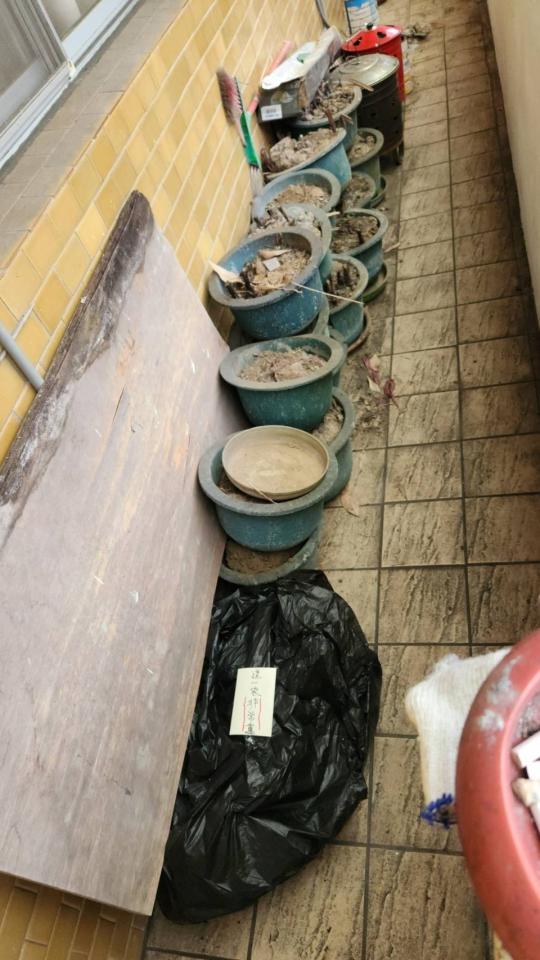 大型垃圾回收案件圖片