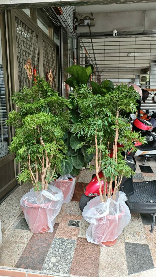載貨運輸服務案件圖片