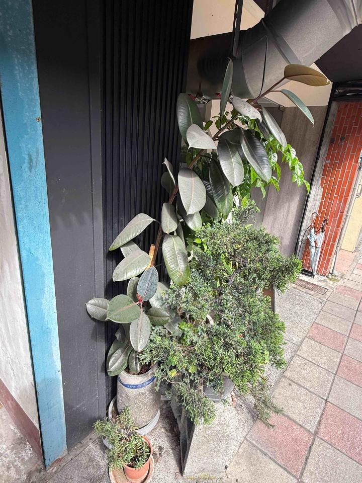 園藝維護案件圖片