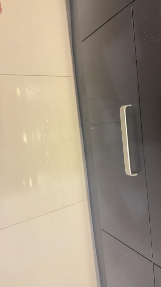 抓漏案件圖片