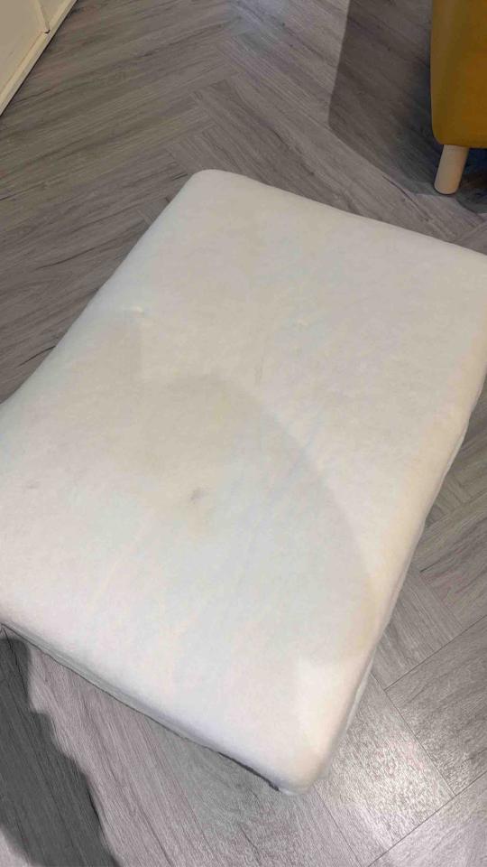 沙發清潔案件圖片