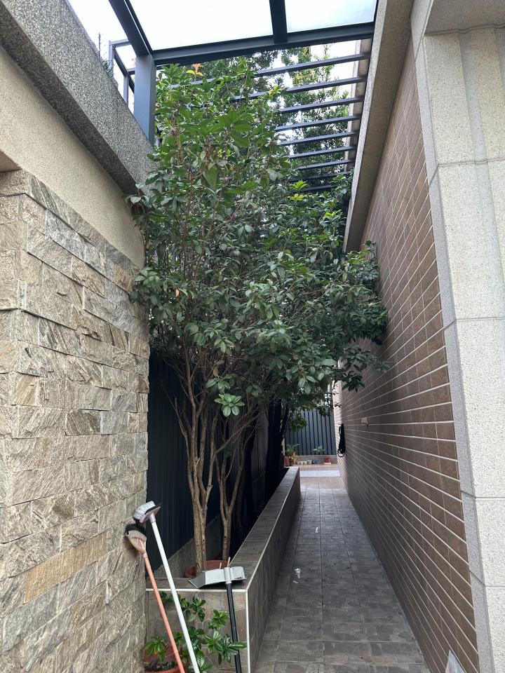 園藝維護案件圖片