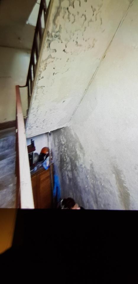 壁癌處理案件圖片