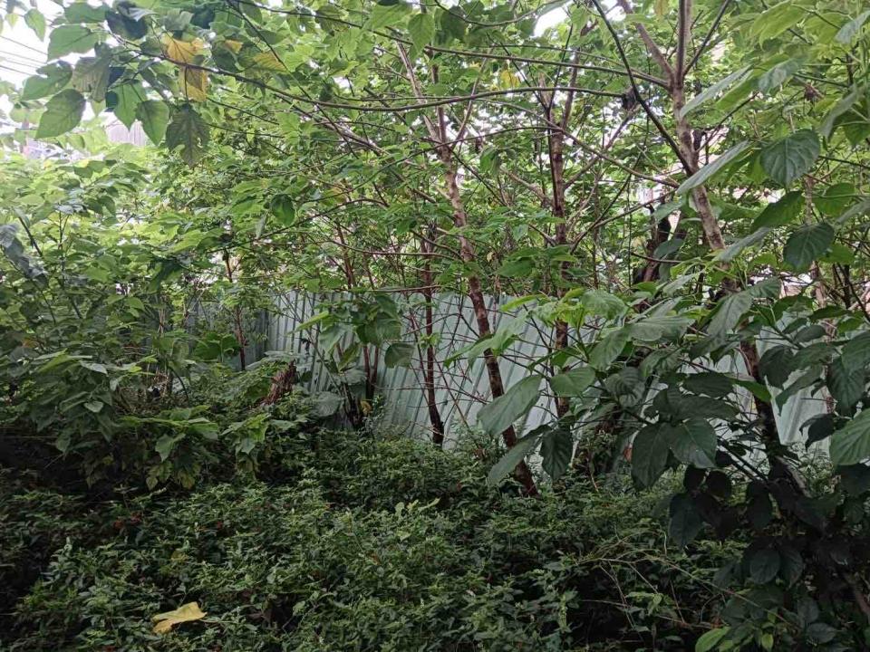 大型垃圾回收案件圖片