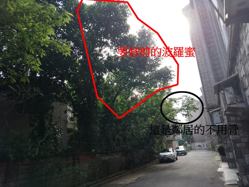 園藝維護案件圖片