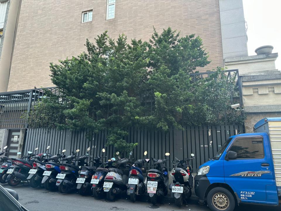 園藝維護案件圖片