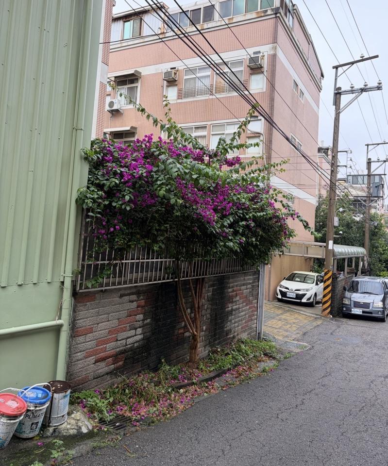 園藝維護案件圖片