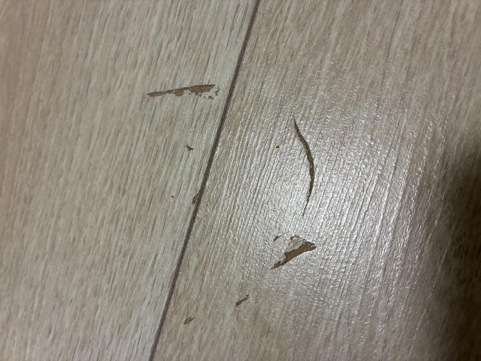 地板維修案件圖片