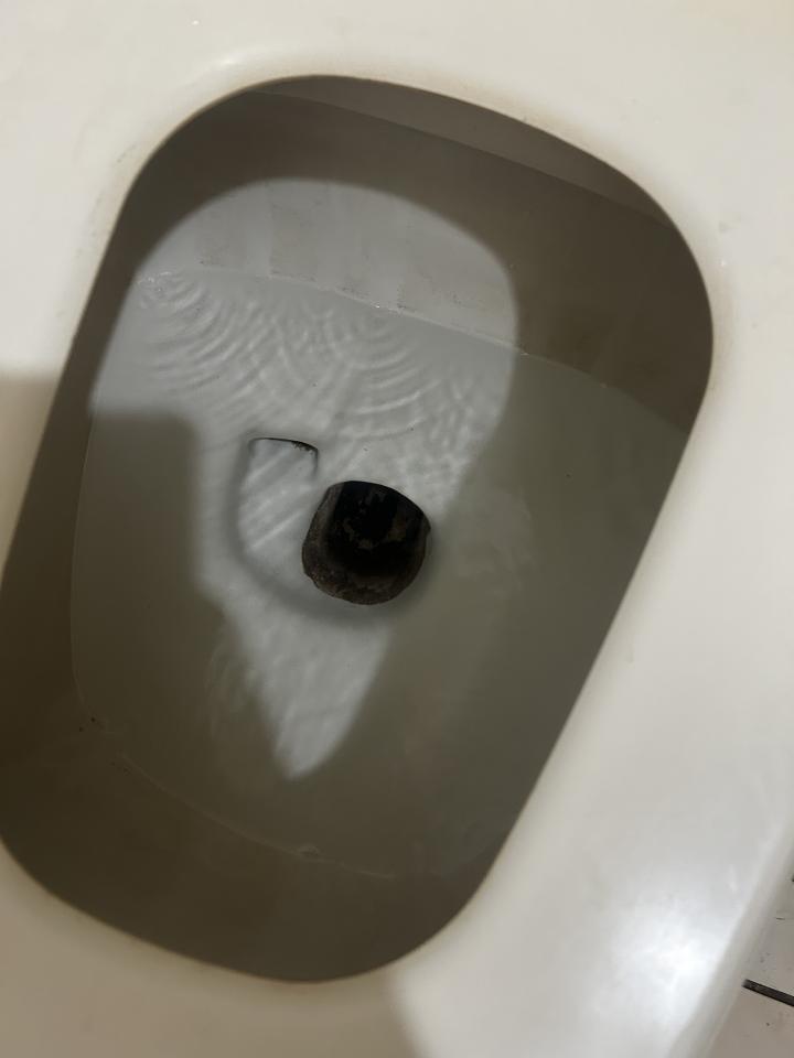 馬桶裝修案件圖片