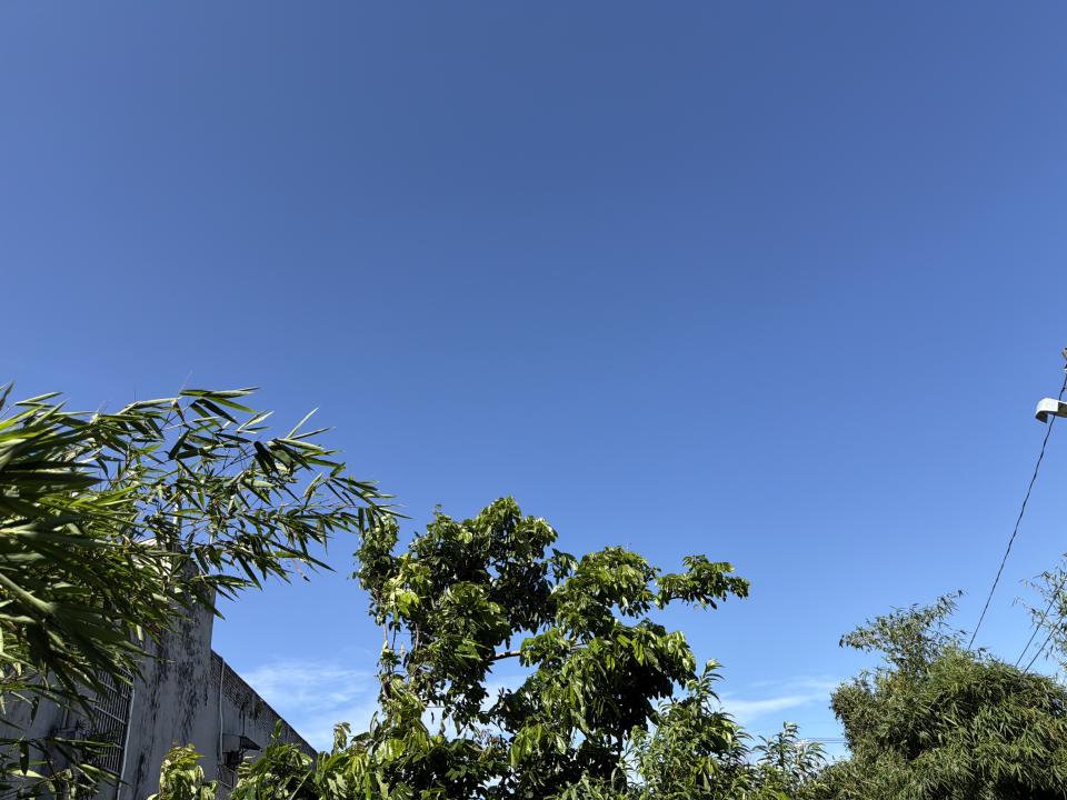 園藝維護案件圖片