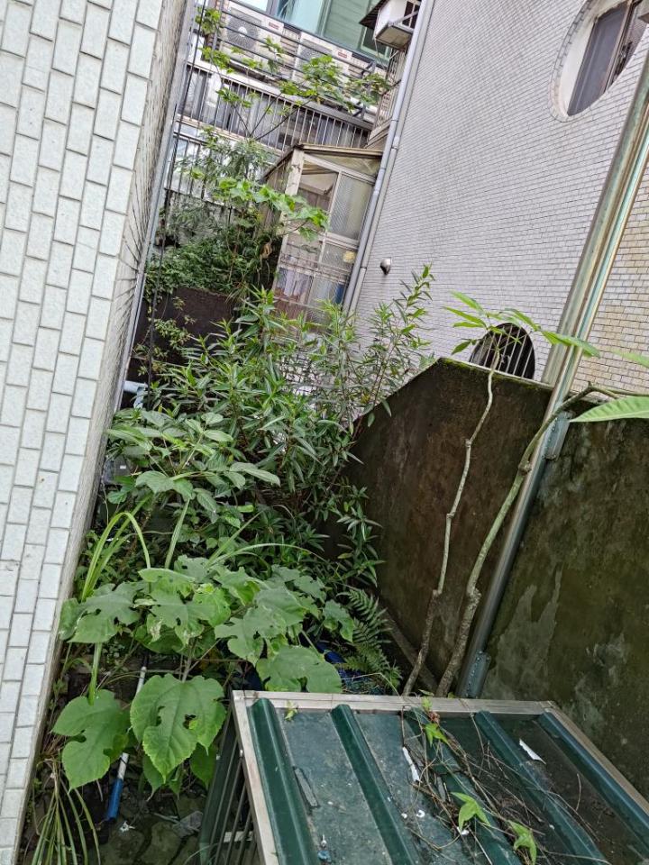 園藝維護案件圖片