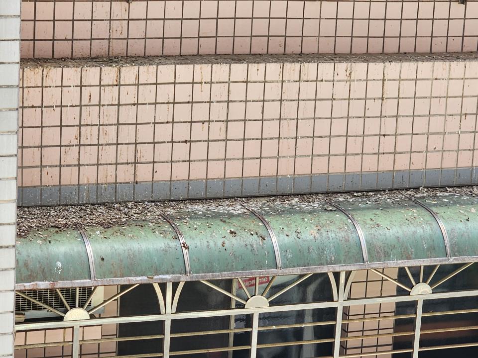 高壓清洗服務案件圖片